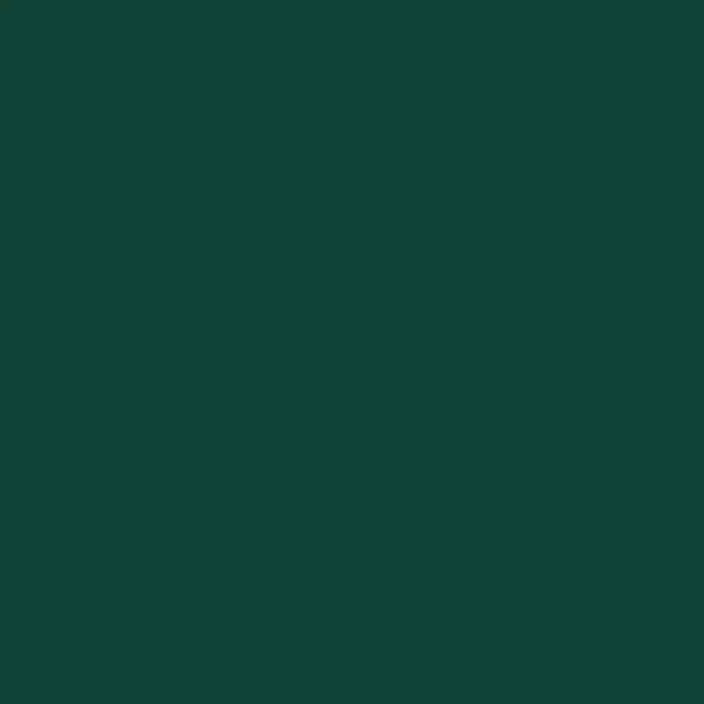 RAL 6005 Vert mousse portes-dentree couleurs-des-portes couleurs-ral ral-6005-vert-mousse texture