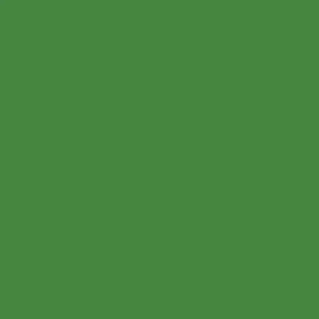 RAL 6017 Vert mai portes-dentree couleurs-des-portes couleurs-ral ral-6017-vert-mai-2 texture