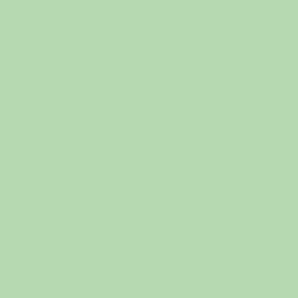 RAL 6019 Vert blanc portes-dentree couleurs-des-portes couleurs-ral ral-6019-vert-blanc texture