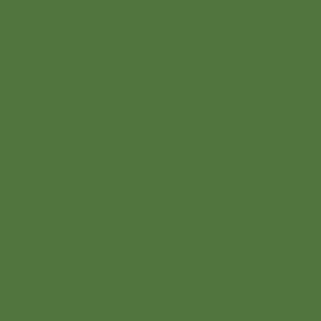 RAL 6025 Vert fougère portes-dentree couleurs-des-portes couleurs-ral ral-6025-vert-fougere texture