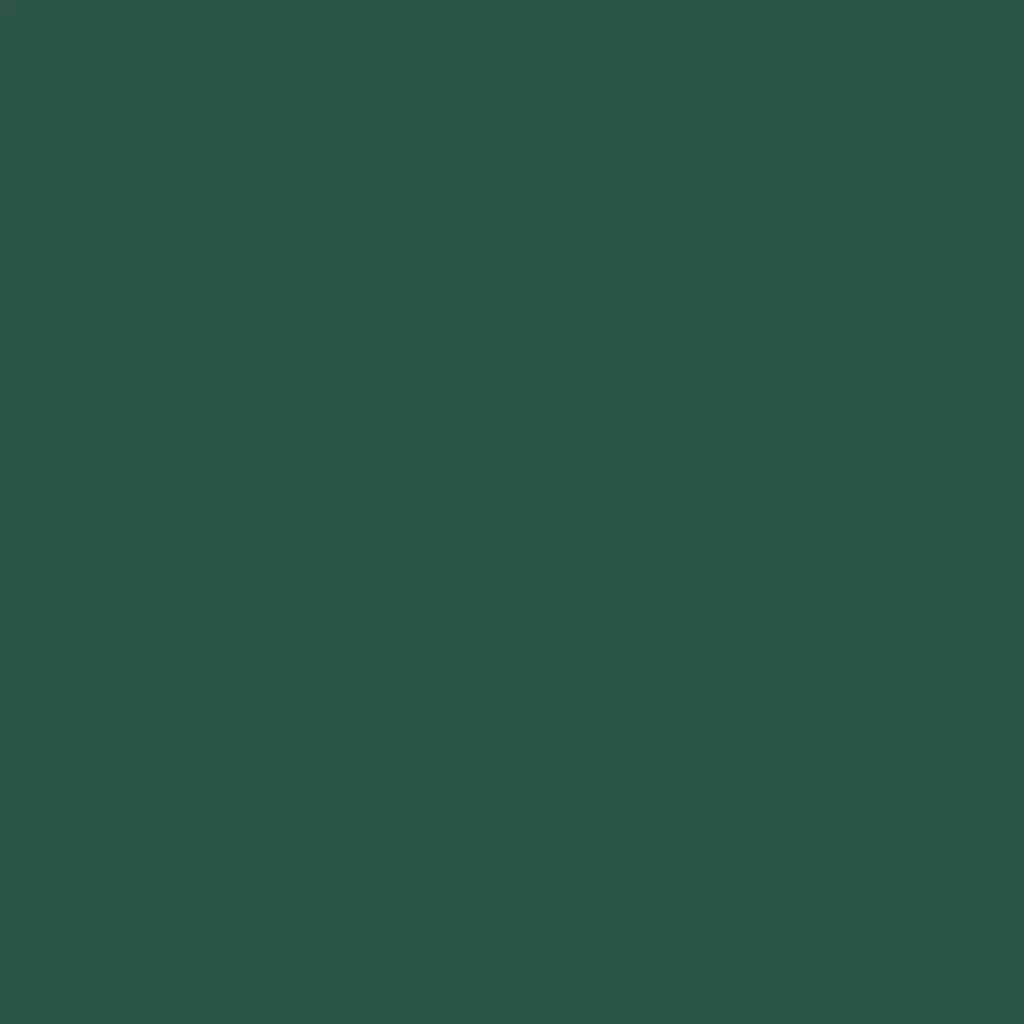 RAL 6028 Vert pin portes-dentree couleurs-des-portes couleurs-ral ral-6028-vert-pin texture