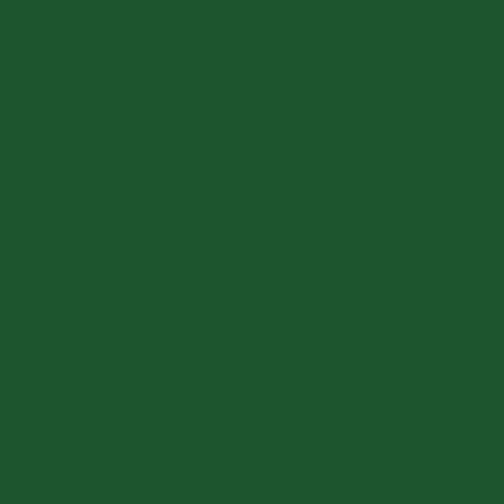 RAL 6035 Vert nacré portes-dentree couleurs-des-portes couleurs-ral ral-6035-vert-nacre texture
