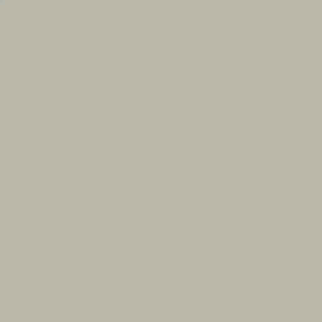 RAL 7032 Gris silex portes-dentree couleurs-des-portes couleurs-ral ral-7032-gris-silex texture