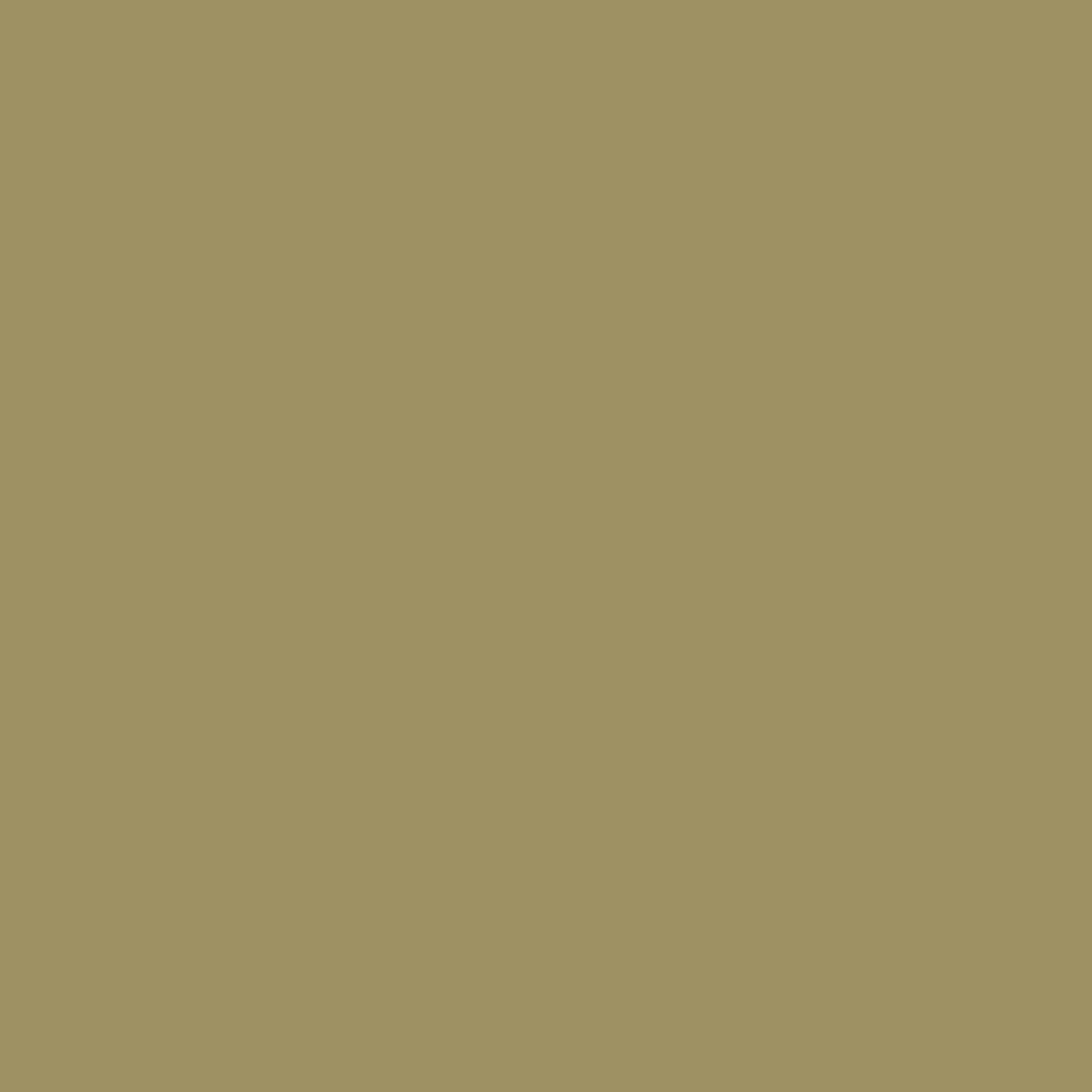 RAL 1020 Jaune olive portes-dentree couleurs-des-portes couleurs-ral ral-1020-jaune-olive texture