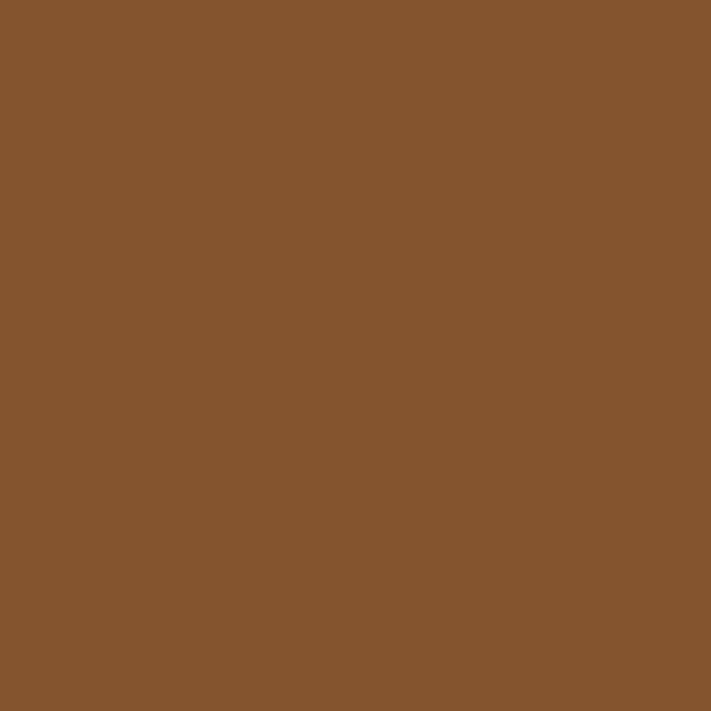 RAL 8003 Brun argile portes-dentree couleurs-des-portes couleurs-ral ral-8003-brun-argile texture
