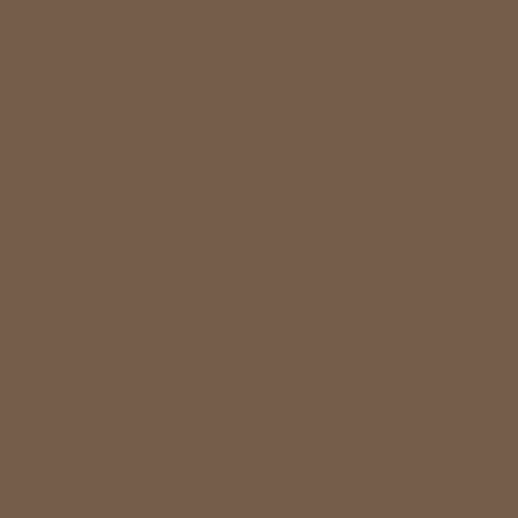 RAL 8025 Brun pâle portes-dentree couleurs-des-portes couleurs-ral ral-8025-brun-pale texture