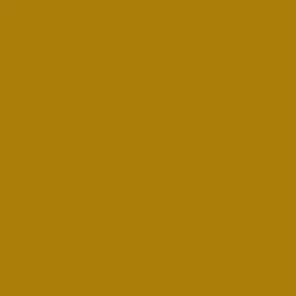 RAL 1027 Jaune curry portes-dentree couleurs-des-portes couleurs-ral ral-1027-jaune-curry texture