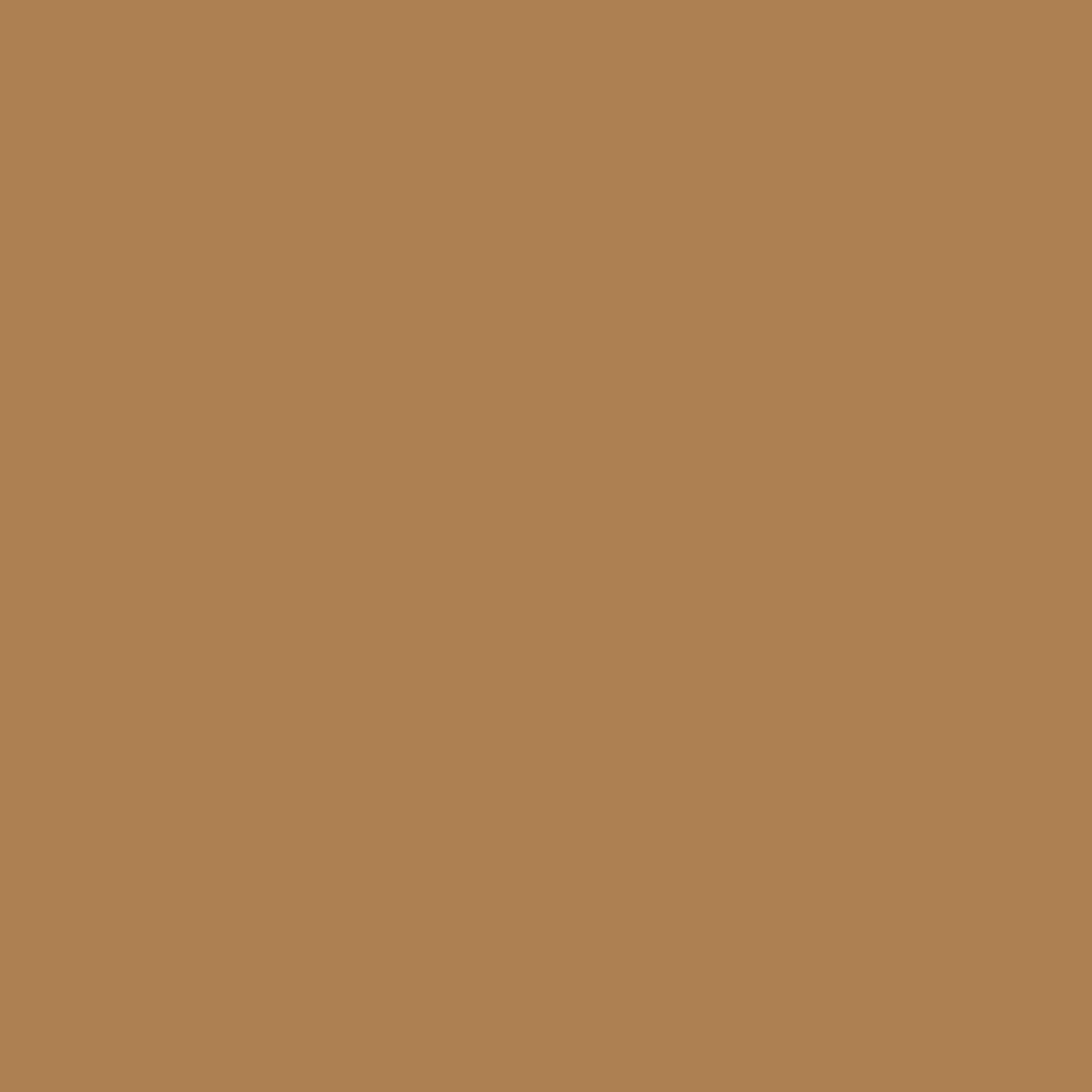 RAL 1011 Beige brun portes-dentree couleurs-des-portes couleurs-ral ral-1011-beige-brun texture