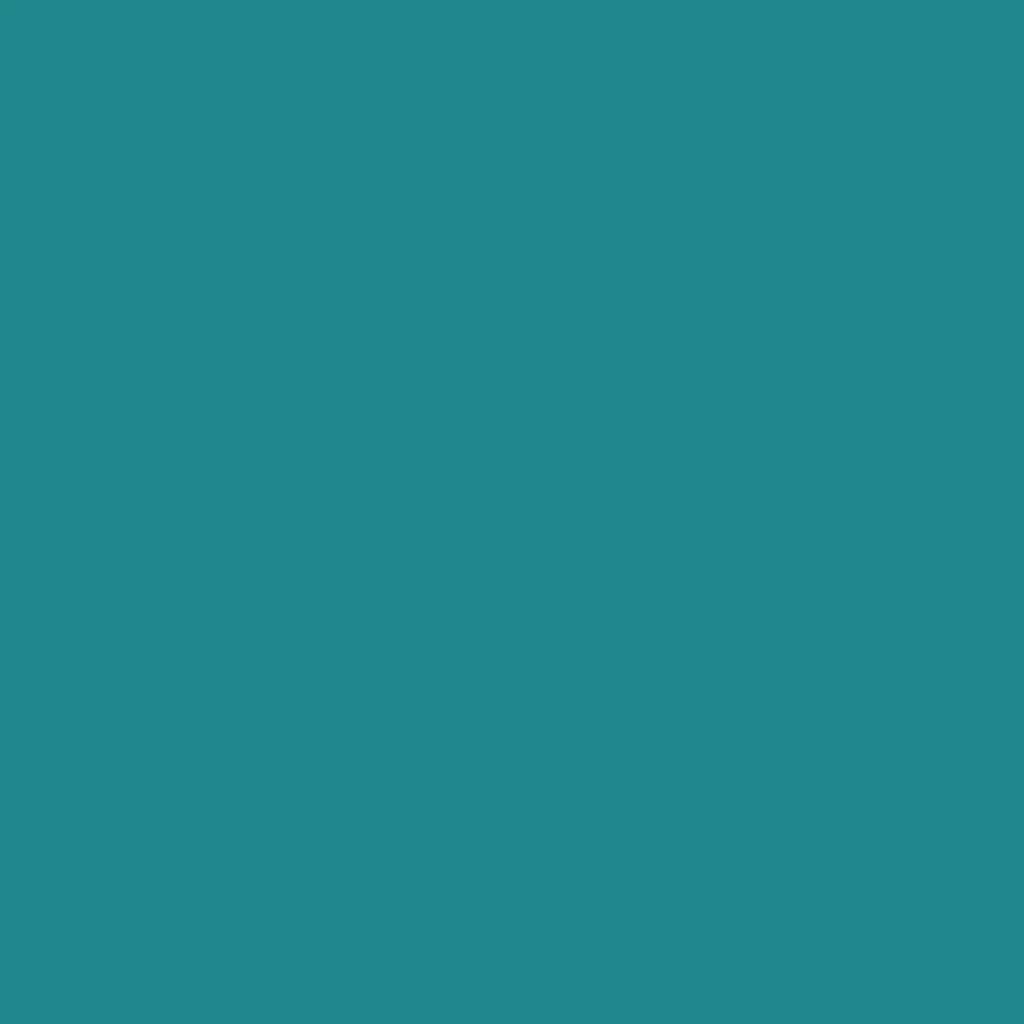 RAL 5018 Bleu turquoise portes-dentree couleurs-des-portes couleurs-ral ral-5018-bleu-turquoise texture