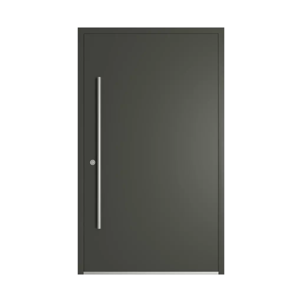 RAL 6006 Olive gris portes-dentree remplissages aluminium complet
