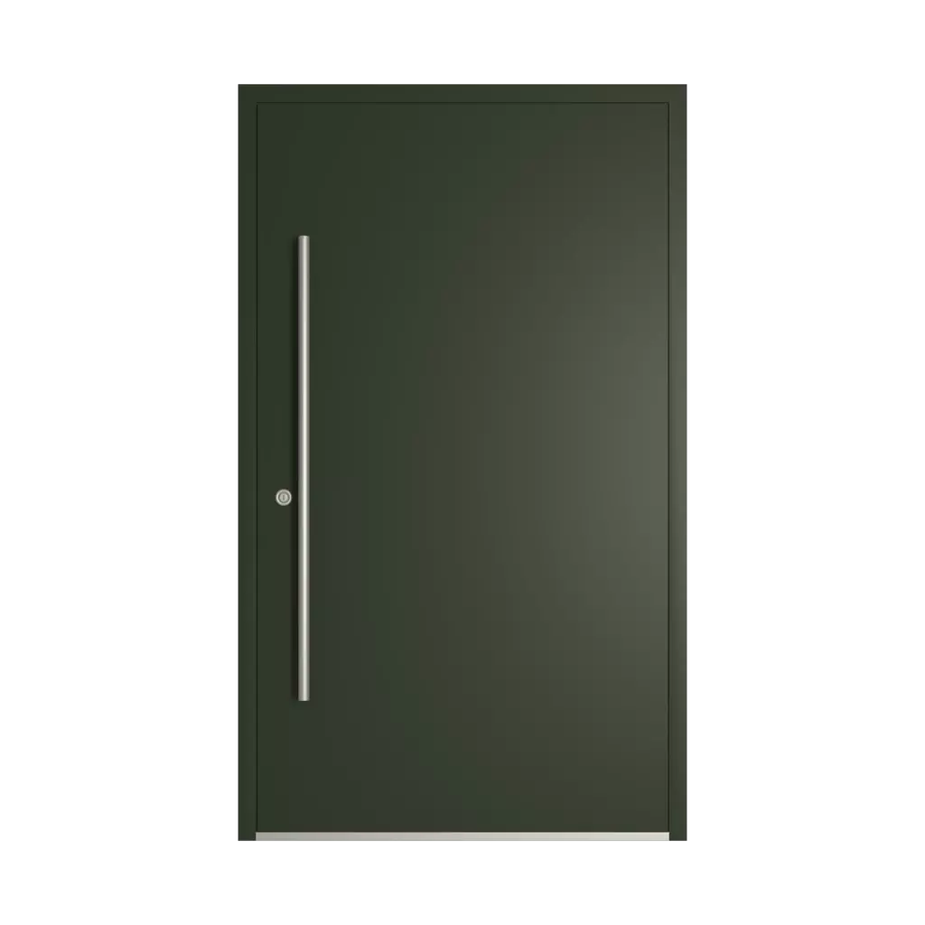 RAL 6007 Vert bouteille portes-dentree remplissages dindecor 6132-black  