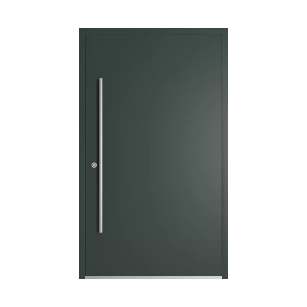 RAL 6012 Vert noir portes-dentree remplissages bois sans-vitrage