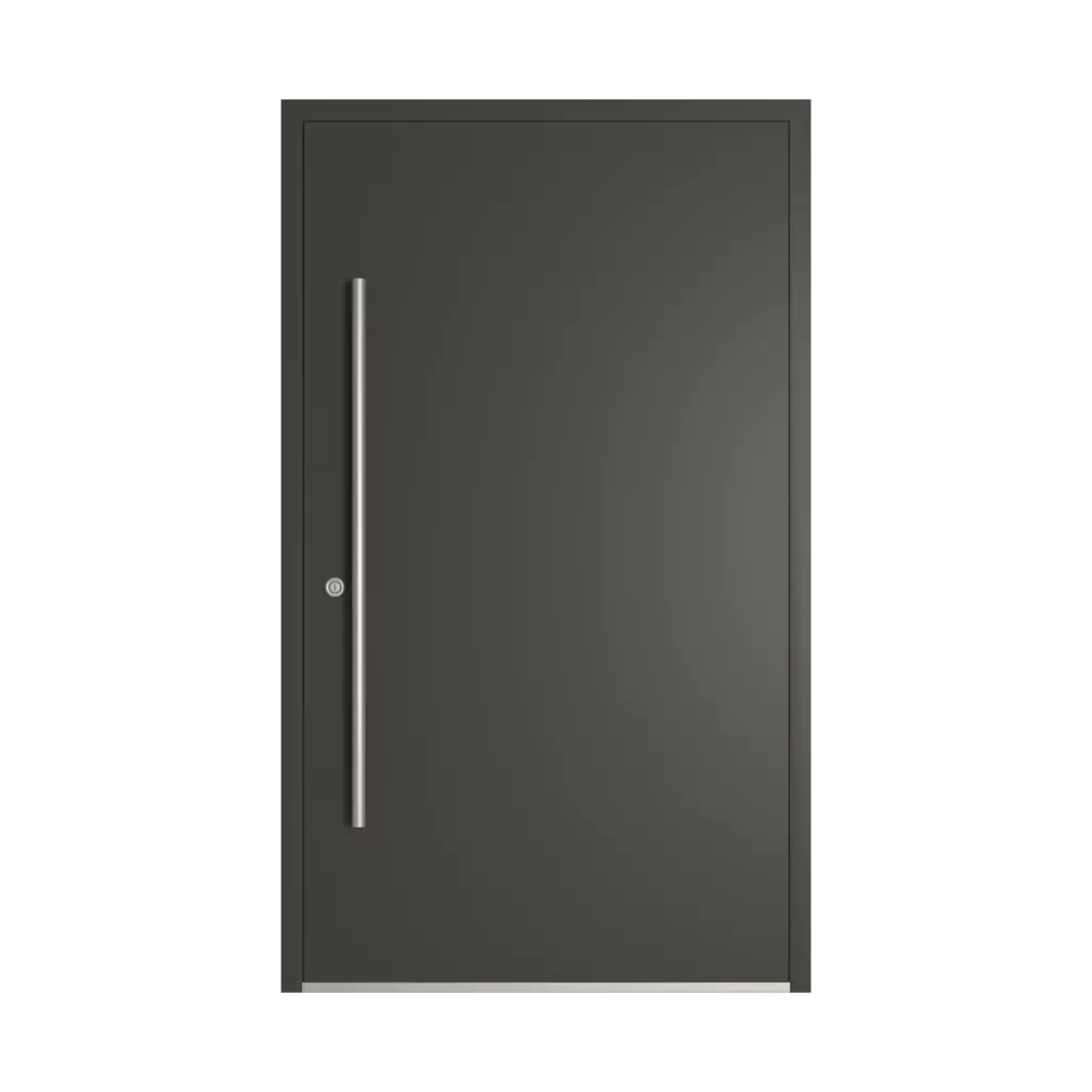 RAL 6015 Olive noir portes-dentree remplissages aluminium vitre