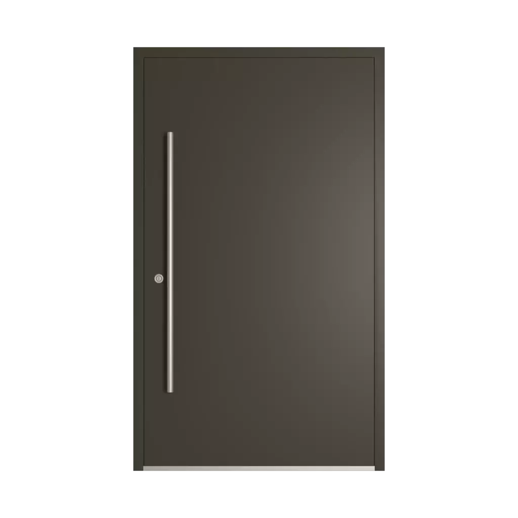 RAL 6022 Olive brun portes-dentree remplissages aluminium complet