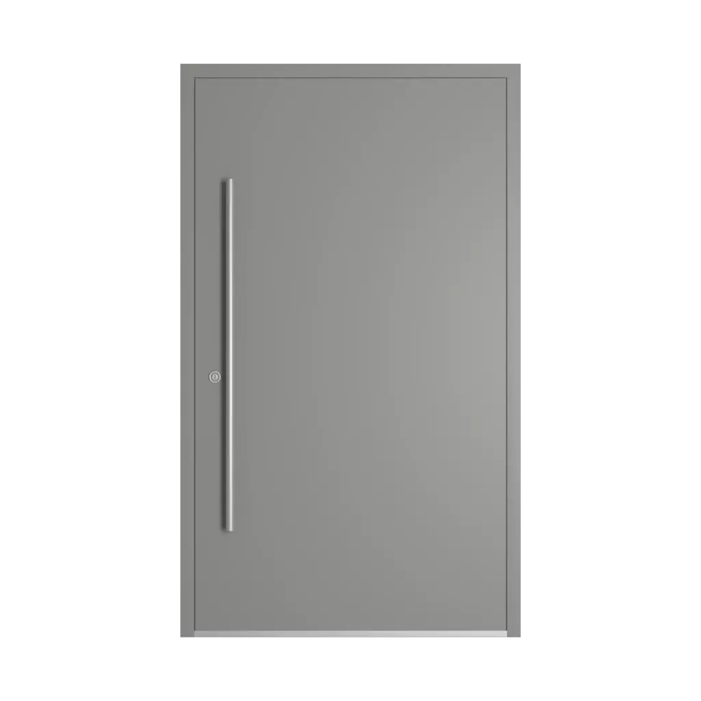 RAL 9007 Aluminium gris portes-dentree remplissages dindecor model-6123  