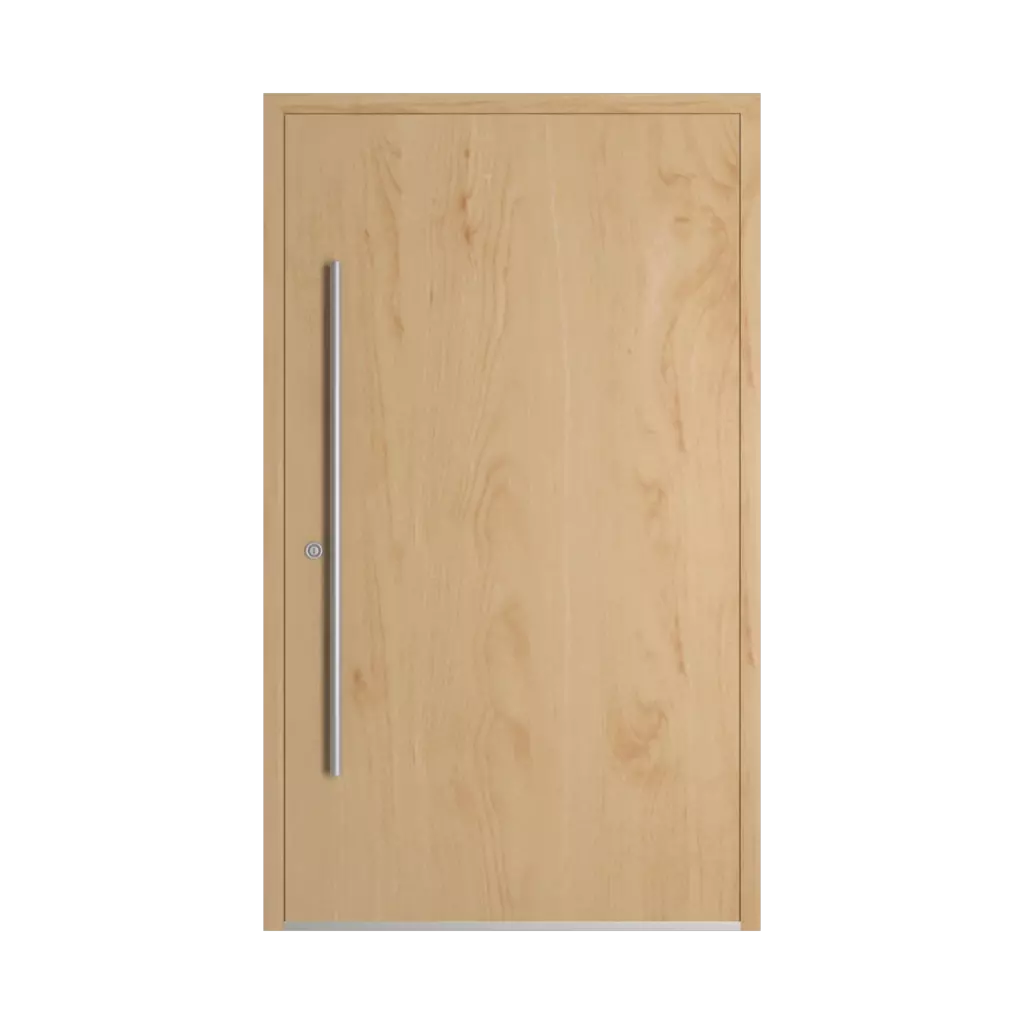 Bouleau portes-dentree remplissages dindecor model-6123  