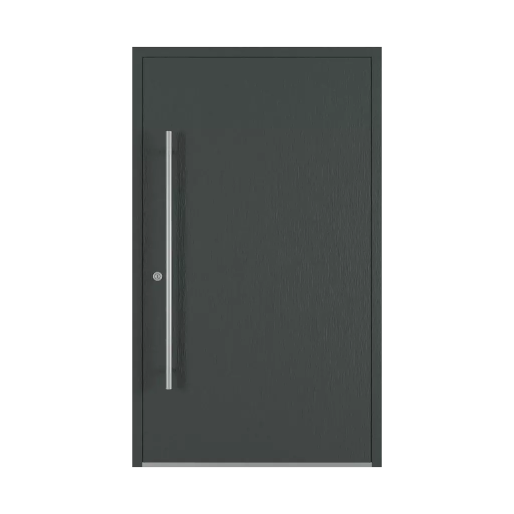 Gris anthracite ✨ portes-dentree remplissages dindecor sl01  