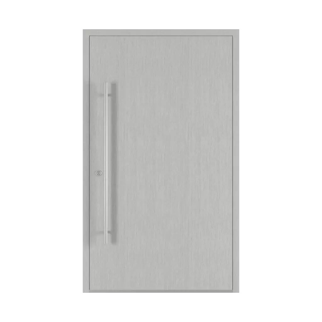 Aluminium brossé portes-dentree remplissages dindecor sl01  