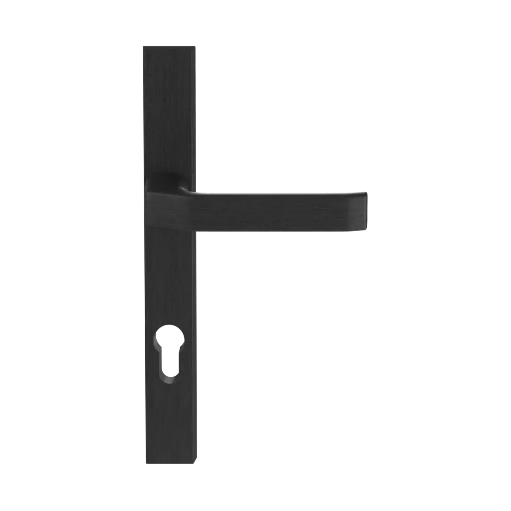 Noir portes-dentree accessoires-de-porte poignees slim-solo noir 