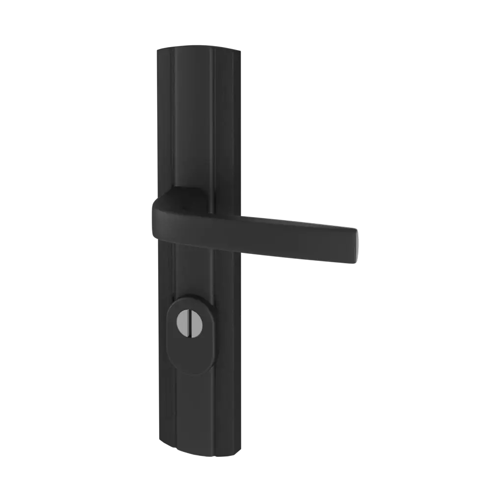 Noir portes-dentree accessoires-de-porte poignees classe-c-prestige-avec-protection 