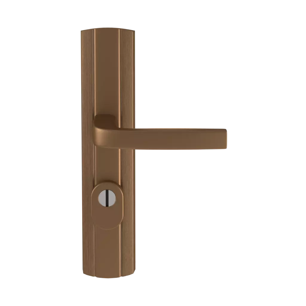 Vieil or portes-dentree accessoires-de-porte poignees classe-c-prestige-avec-protection vieil-or 