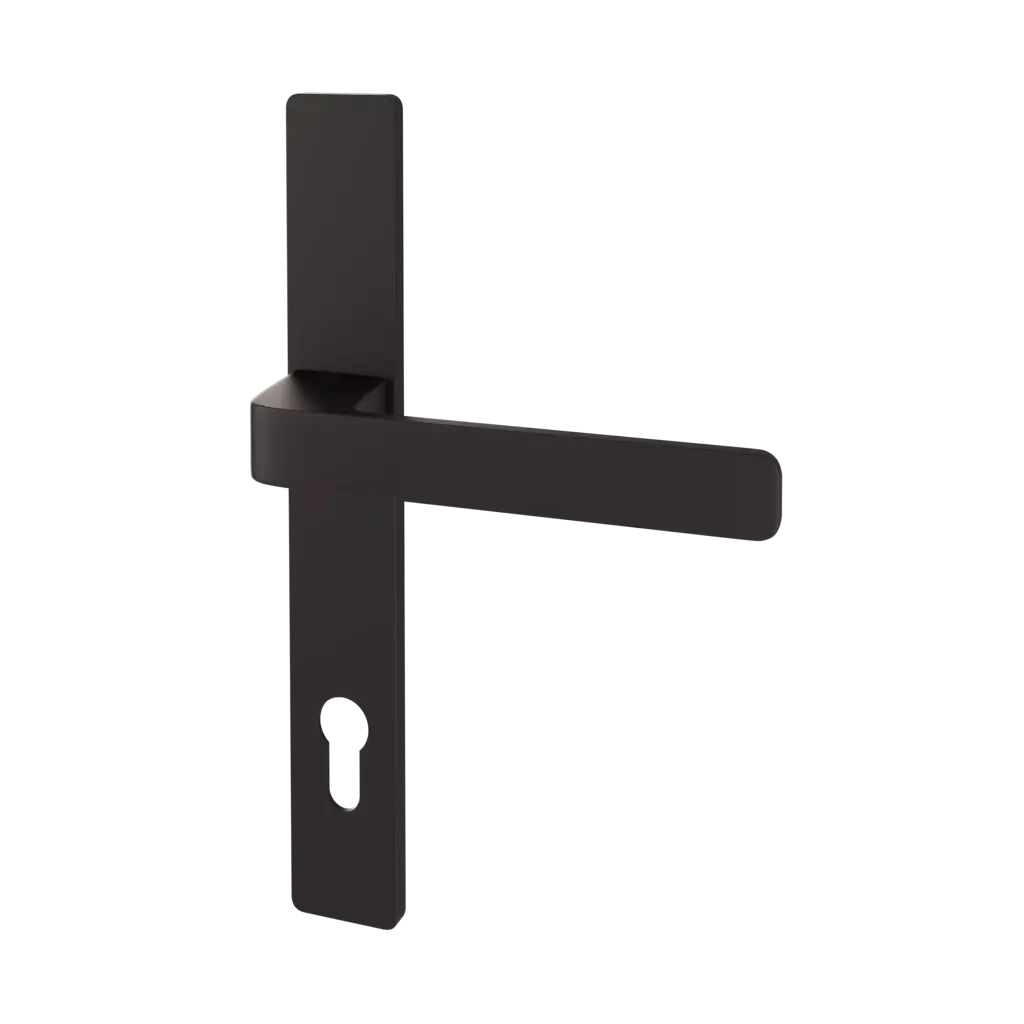Noir portes-dentree accessoires-de-porte poignees poignee-h6s2-s5s34 interior