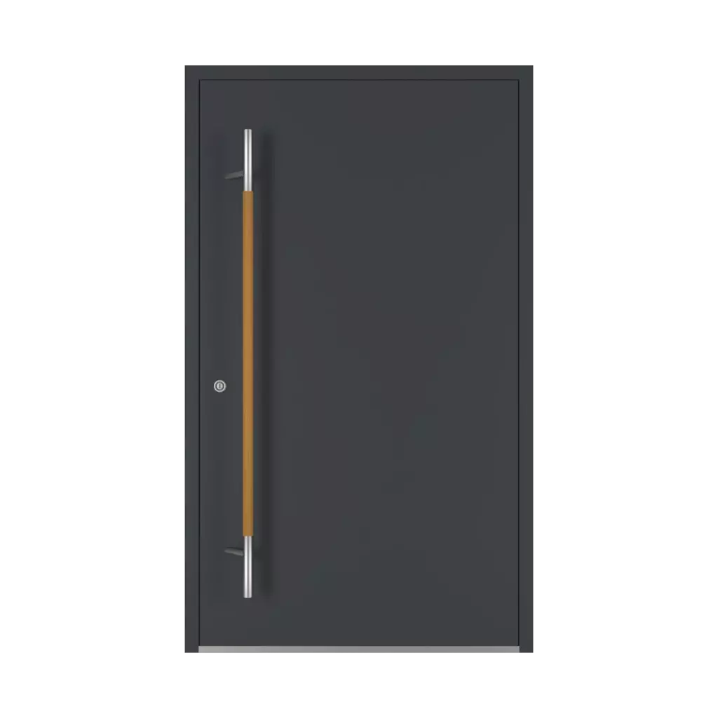 Chêne portes-dentree accessoires-de-porte tirer-la-poignee pd-134 interior