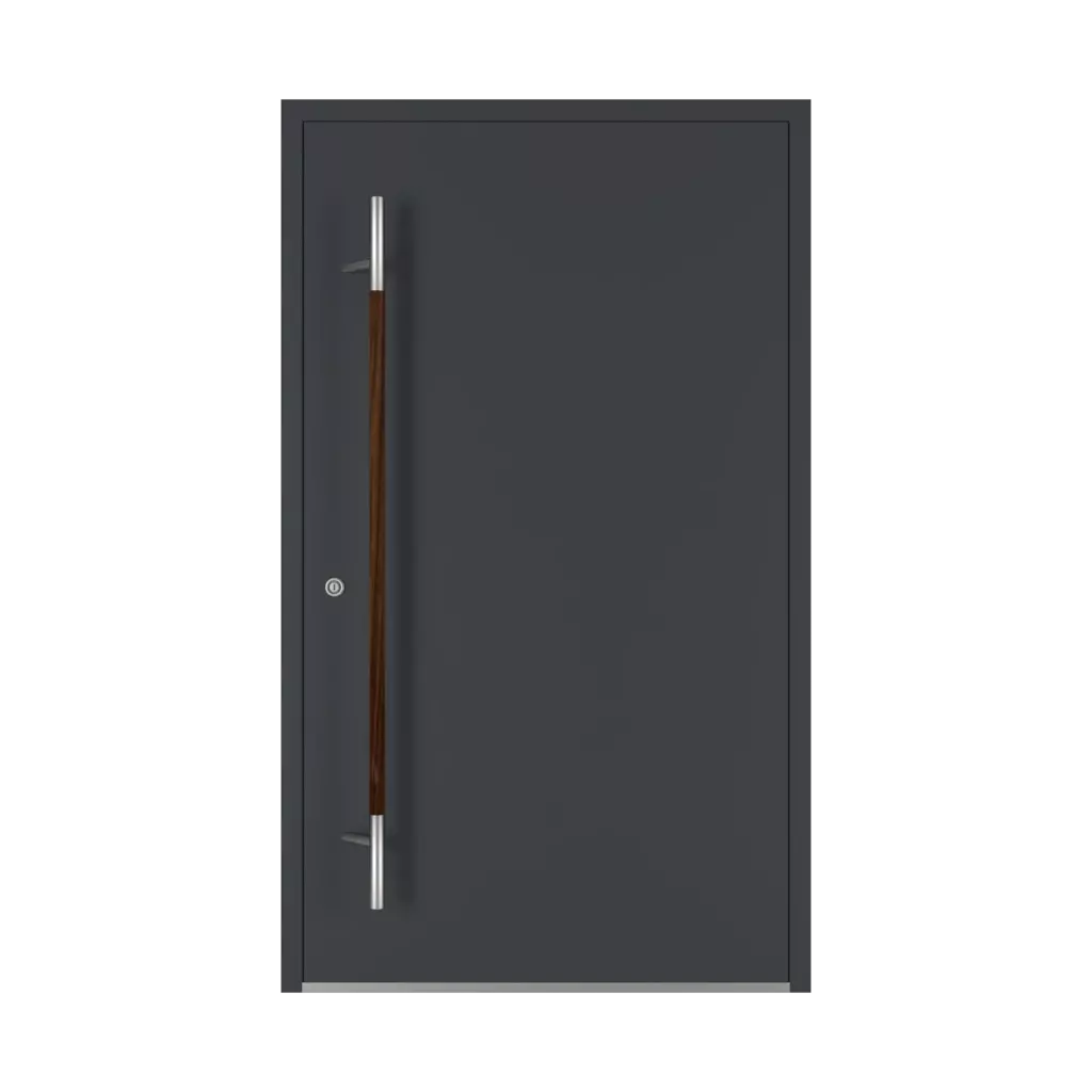 Noix portes-dentree accessoires-de-porte tirer-la-poignee pd-134 interior