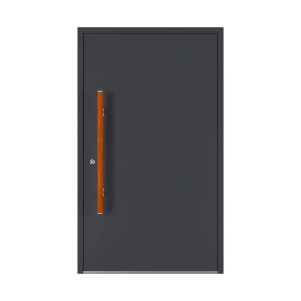 PD 136 ✨ portes-dentree accessoires-de-porte tirer-la-poignee pd-136 interior
