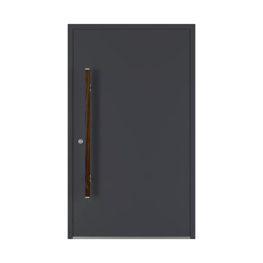 Noix portes-dentree accessoires-de-porte tirer-la-poignee pd-136 interior