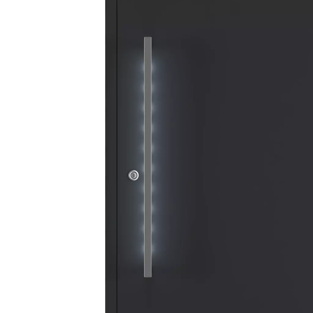 Éclairage des poignées portes-dentree accessoires-de-porte tirer-la-poignee pw-10-pour-linsertion 