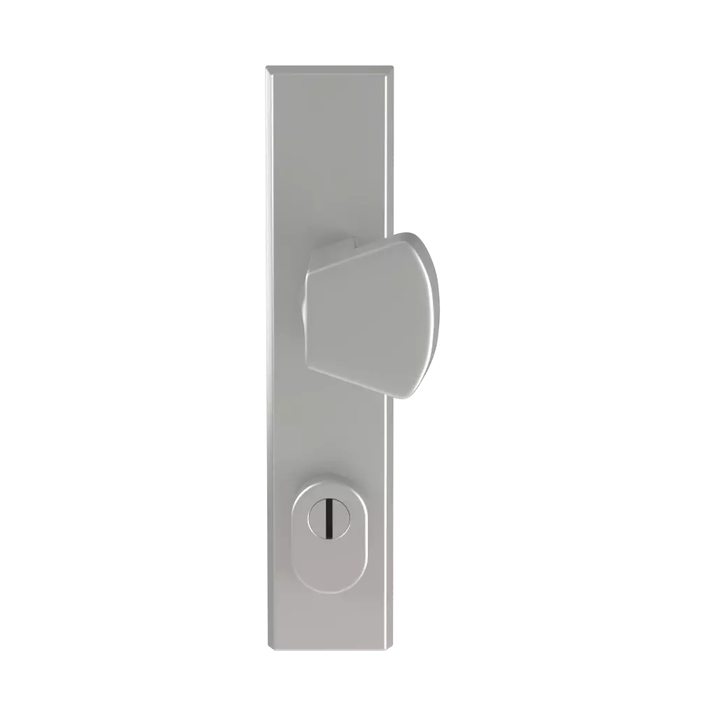 Argent F1 portes-dentree accessoires-de-porte bouton-de-fenetre odin argent-f1 