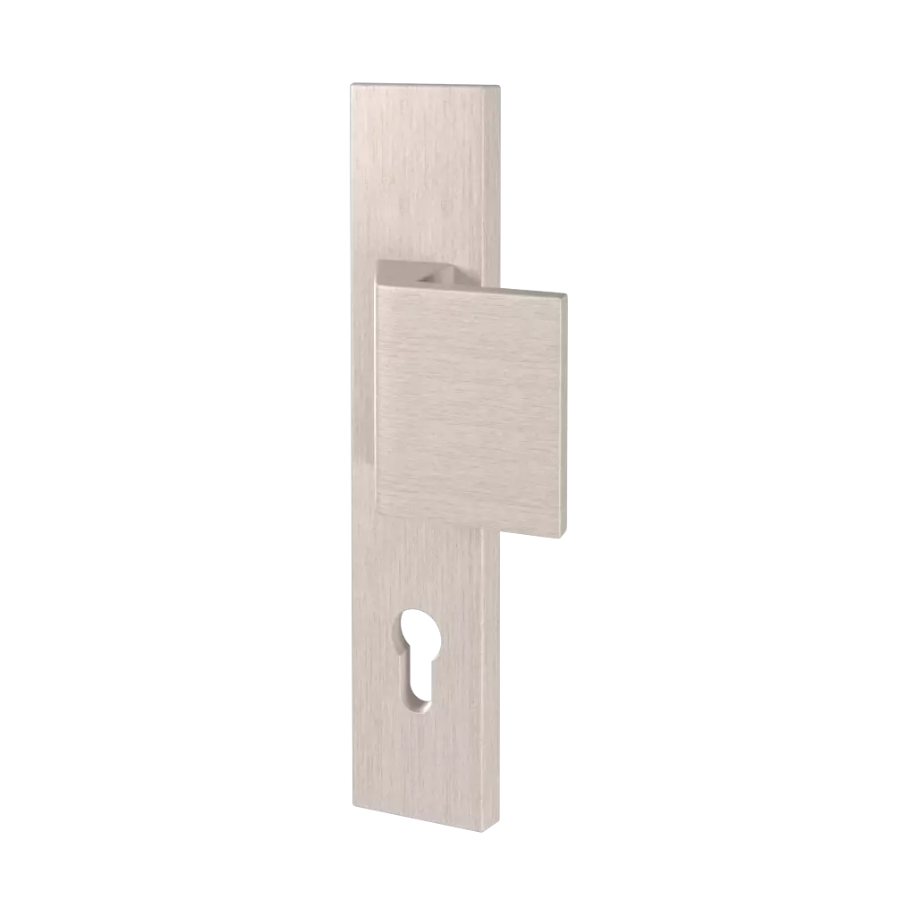 Inox portes-dentree accessoires-de-porte bouton-de-fenetre magnus 