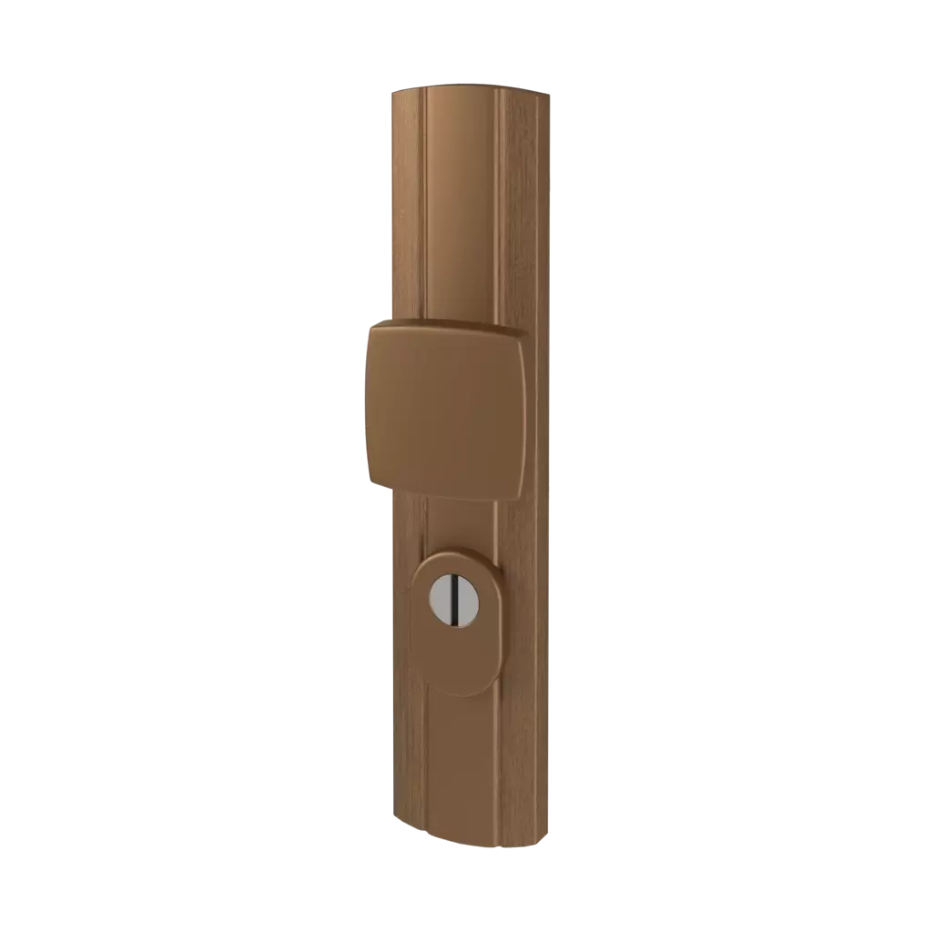 Vieil or portes-dentree accessoires-de-porte bouton-de-fenetre classe-c-prestige-avec-protection interior