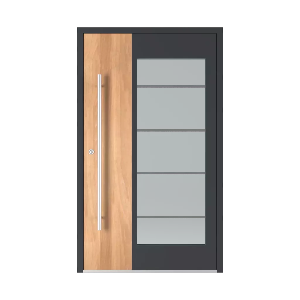 Modèle 6110 ✨ portes-dentree remplissages aluminium vitre modele-6110 