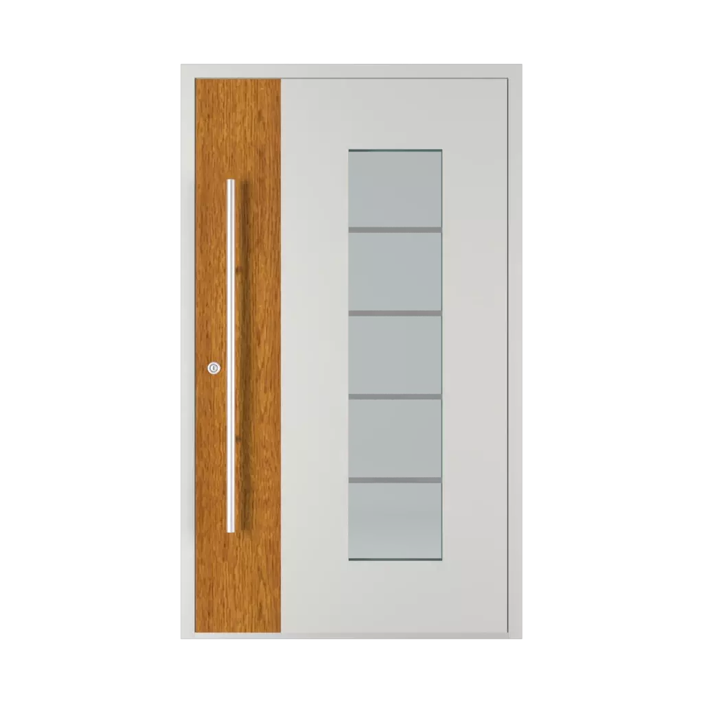 Model 6113 WD portes-dentree remplissages aluminium 