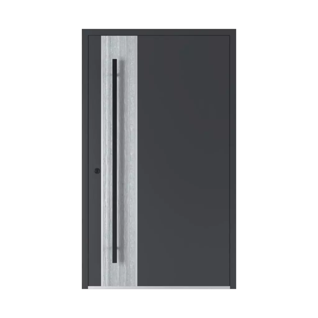 Modèle SL05 produits portes-dentree-en-aluminium    