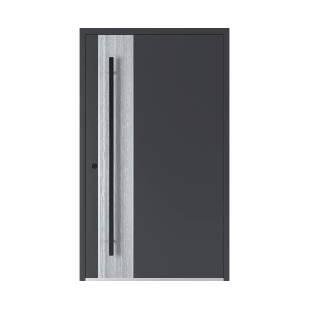 SL05 portes-dentree remplissages aluminium 