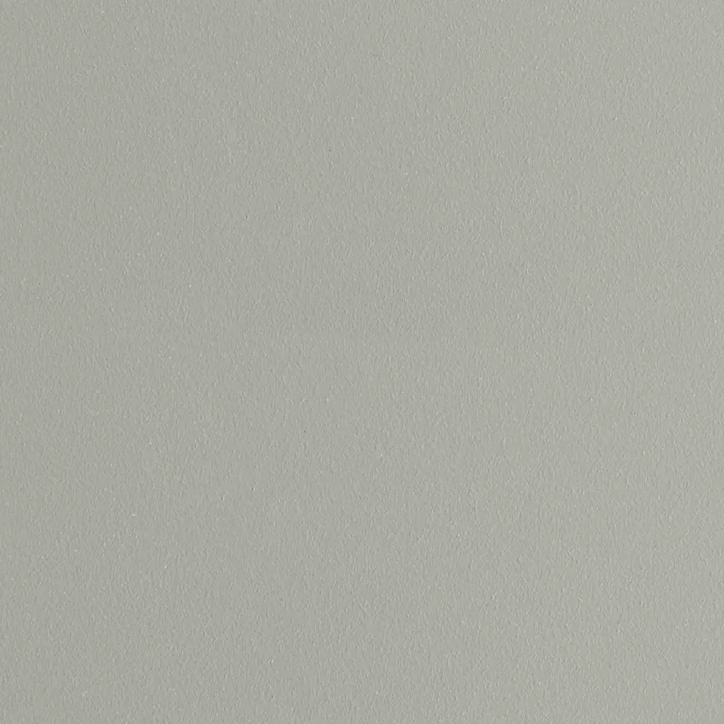 Tigre de pierre grise fenetres couleur-de-la-fenetre couleurs-aliplast tigre-de-pierre-grise texture