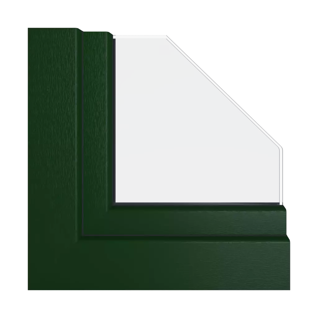 vert foncé 03 fenetres profils-de-fenetre salamander blueevolution-73