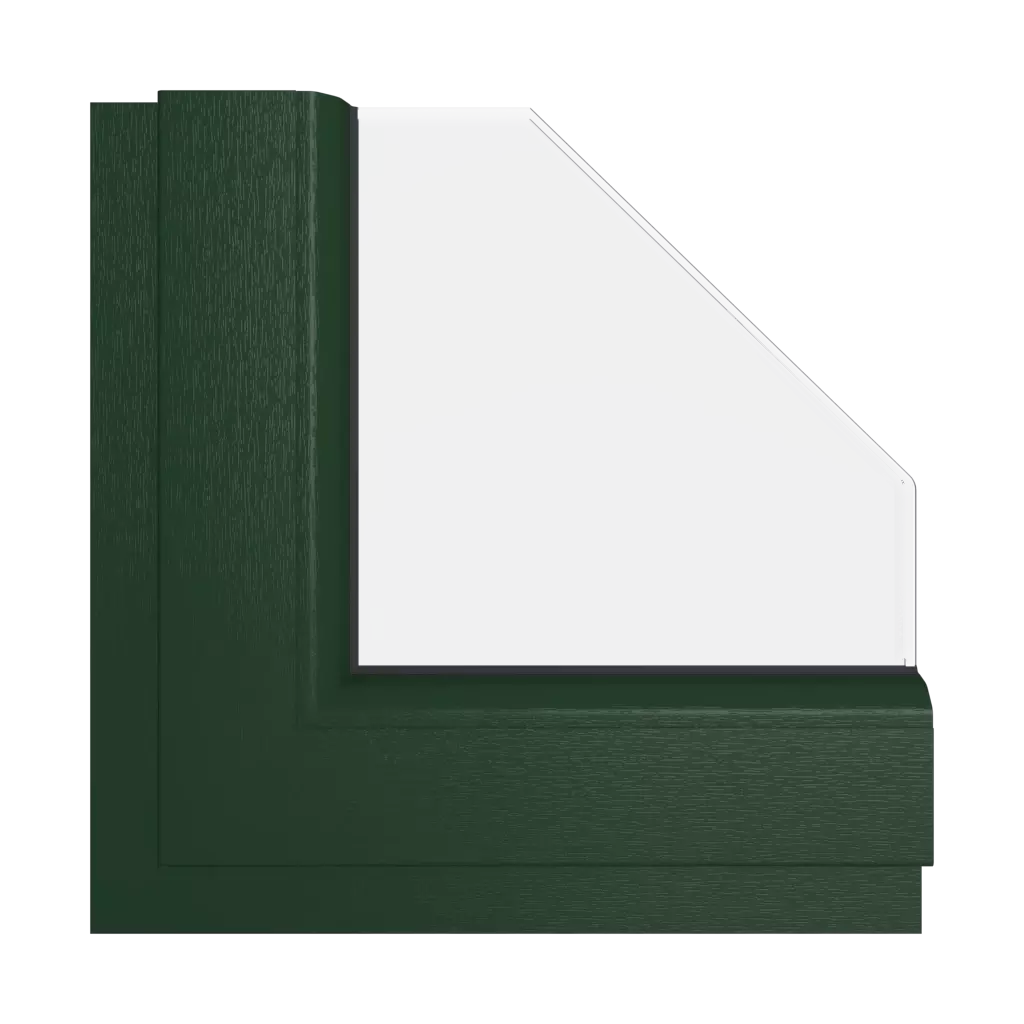 Vert RAL 6009 fenetres couleur-de-la-fenetre couleurs-gealan vert-ral-6009 interior