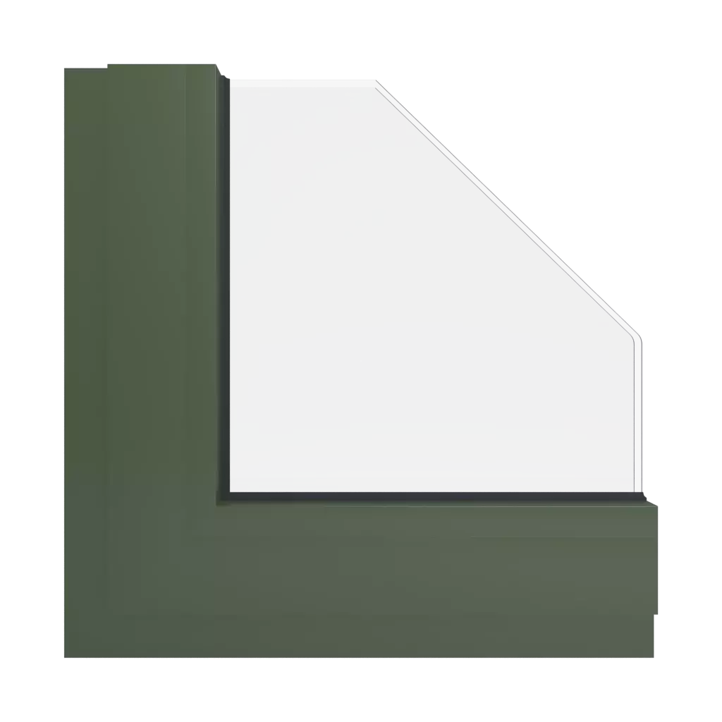 RAL 6003 Vert olive fenetres couleur-de-la-fenetre aluminium-ral ral-6003-vert-olive interior