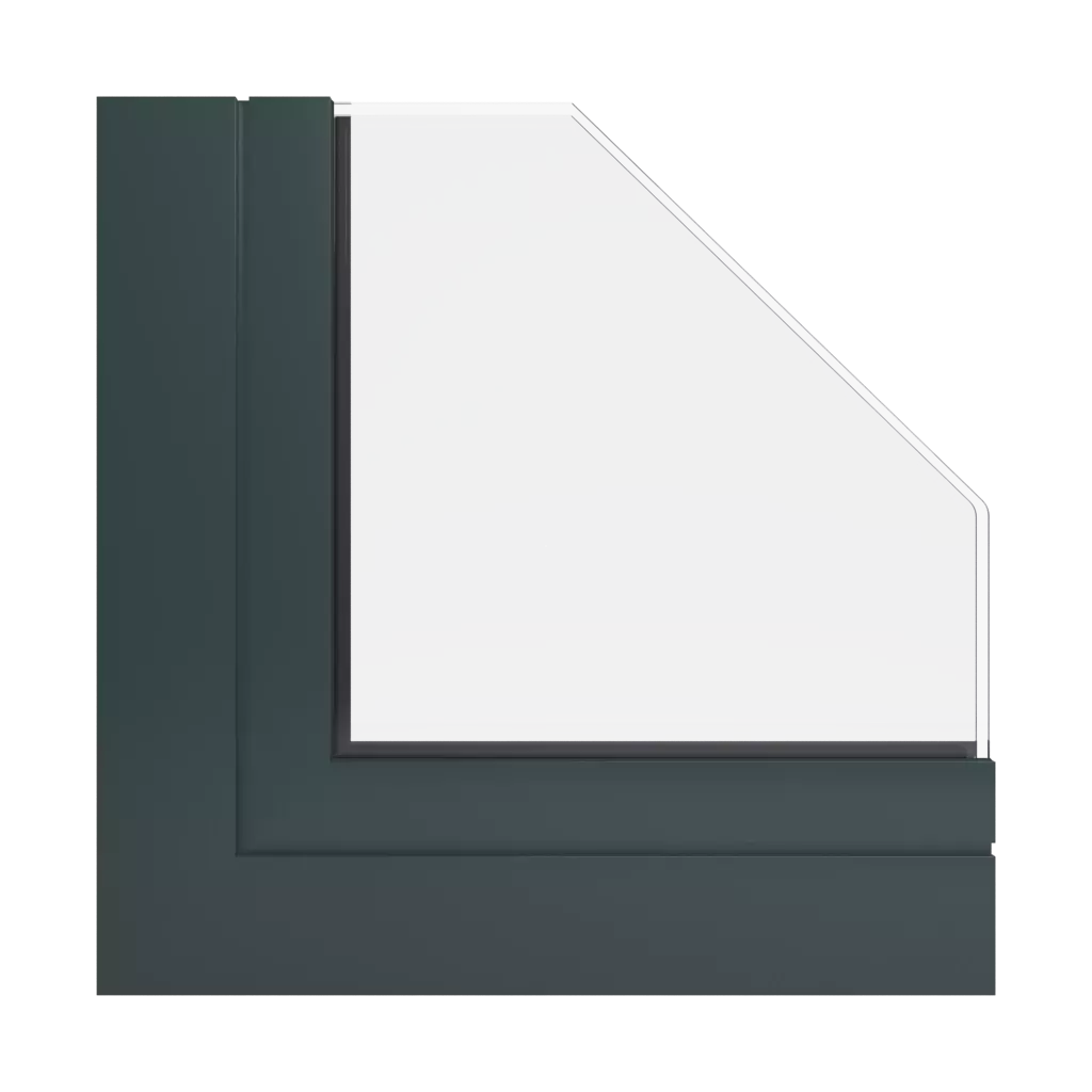 RAL 6012 Vert noir fenetres profils-de-fenetre aliplast panorama