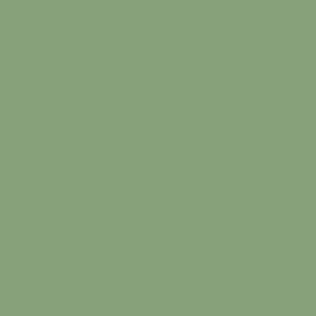 RAL 6021 Vert pâle fenetres couleur-de-la-fenetre aluminium-ral ral-6021-vert-pale texture