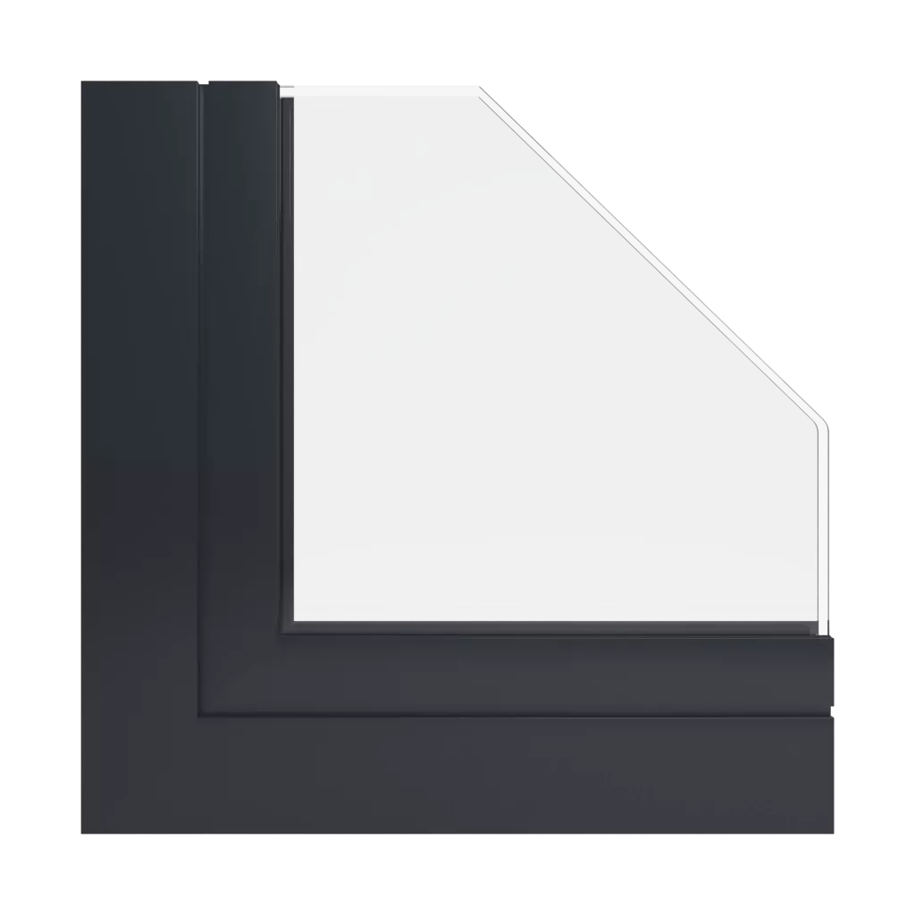 RAL 9011 Noir graphite fenetres profils-de-fenetre aliplast panorama