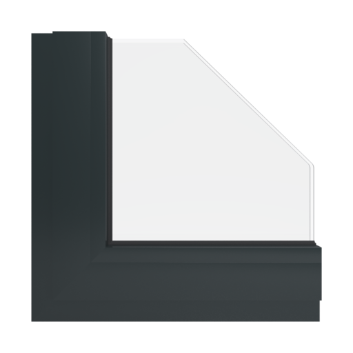 RAL 9017 Noir signalisation fenetres couleur-de-la-fenetre aluminium-ral ral-9017-noir-signalisation interior
